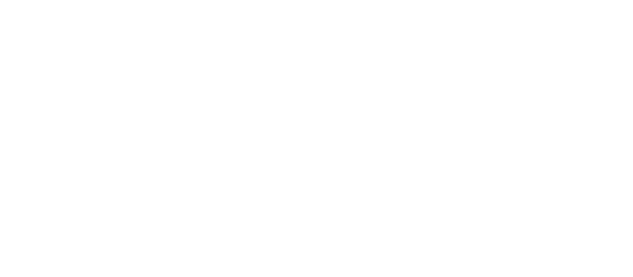 SD%20Logo%20Reverse.png